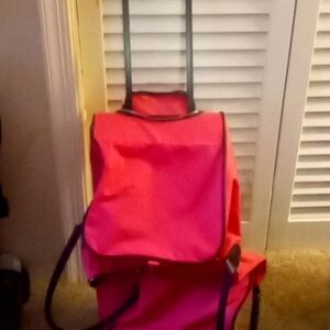 Pink travel case on wheels and is also a backpack for pamela name on bag